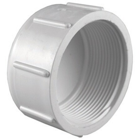 Charlotte Pipe And Foundry Charlotte Pipe Schedule 40 2 in. FPT X 2 in. D FPT PVC Cap 1 pk PVC 02117 1800